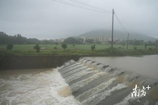 雷电竞app下载软件